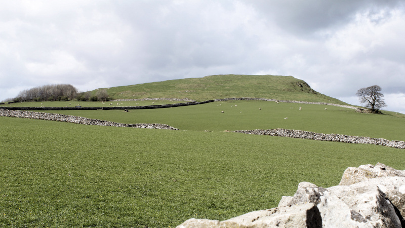 Narrowdale Hill